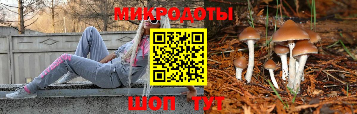 Галлюциногенные грибы Psilocybe  Вход с VPN  Павловский Посад  Галлюциногенные грибы Psilocybe 