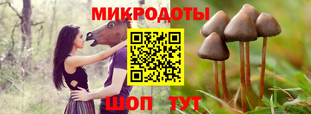 Псилоцибиновые грибы мицелий Павловский Посад